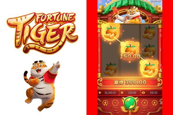 Home | Fortune Tiger Bet